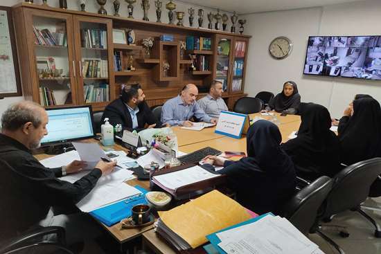 برگزاری کمیته مقابله با پشه آادس با حضور اعضای کمیته  